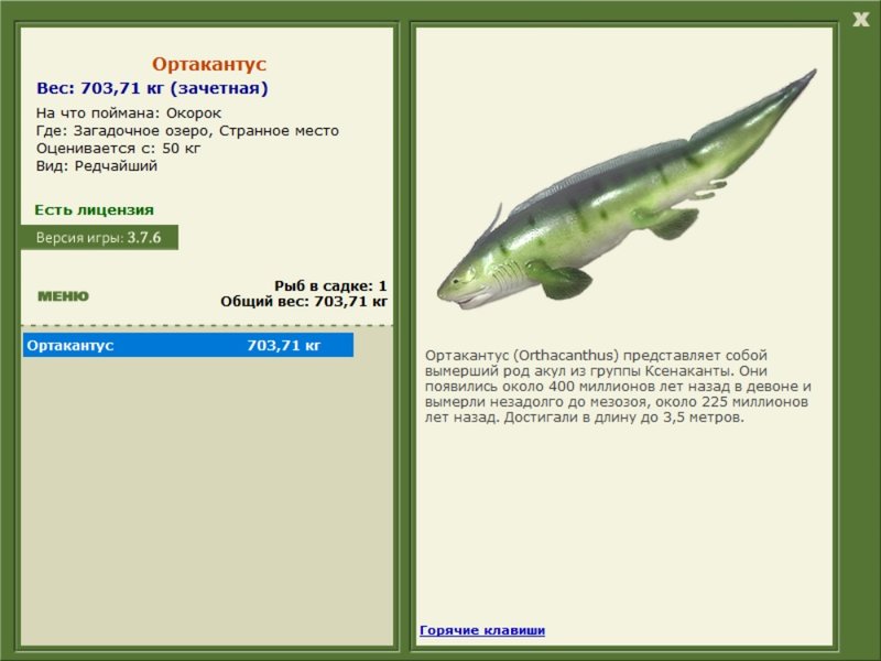 Странное место 