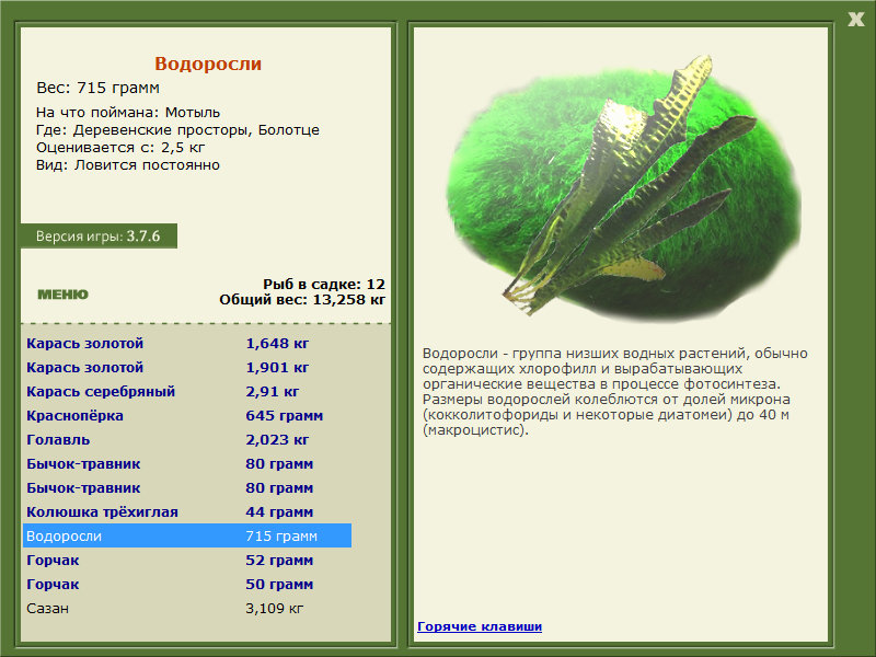Деревенские просторы 