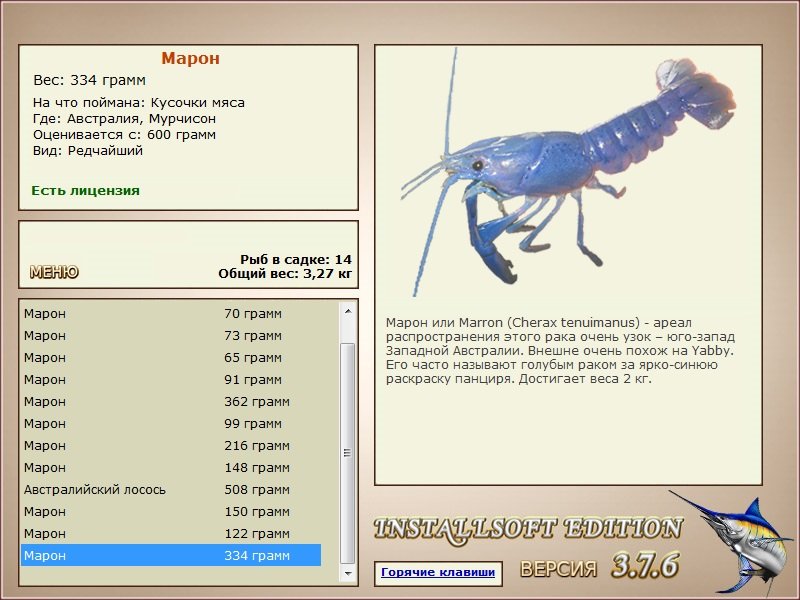 Мурчисон 