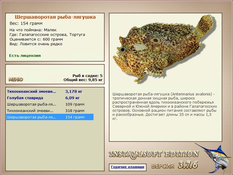 Тортуга 