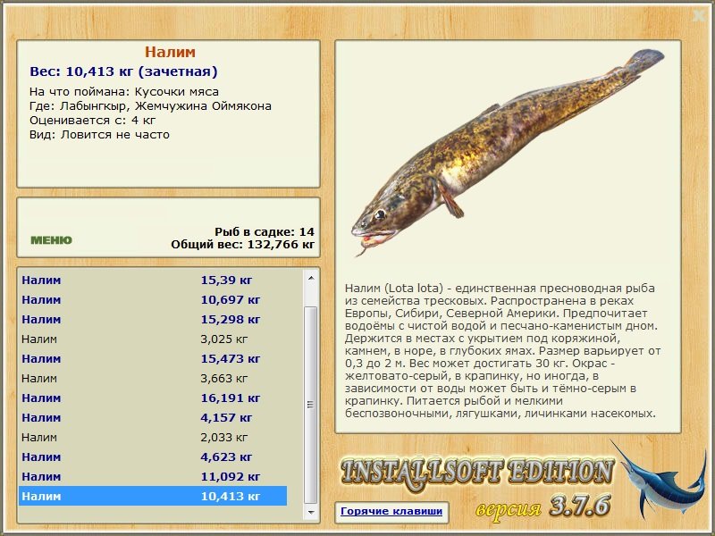 турниры • РУССКАЯ РЫБАЛКА