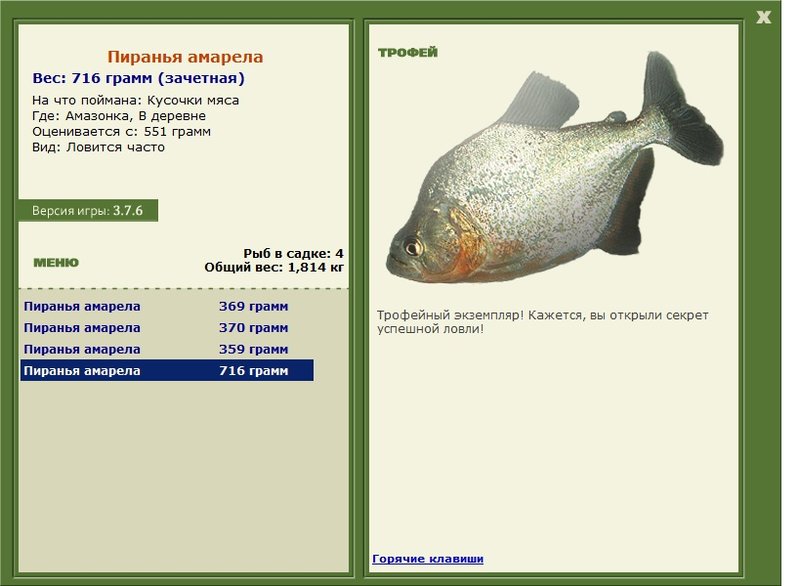 В деревне 