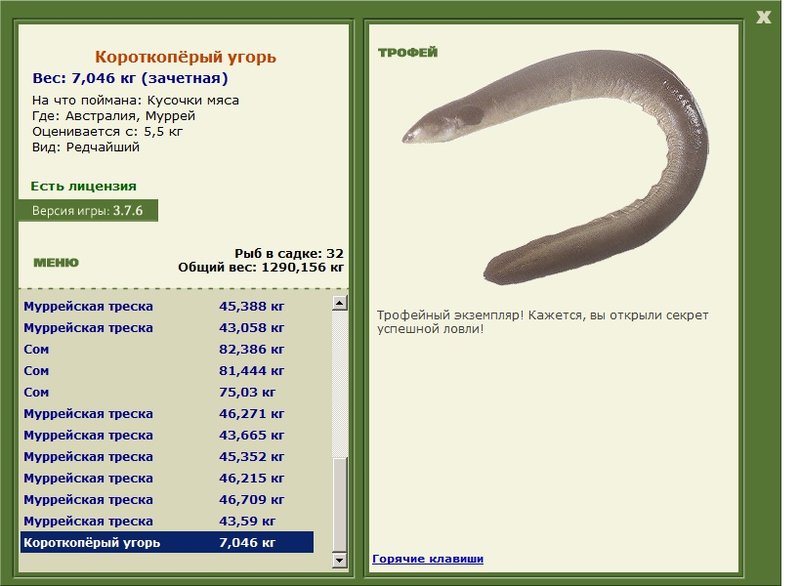 Короткопёрый угорь 