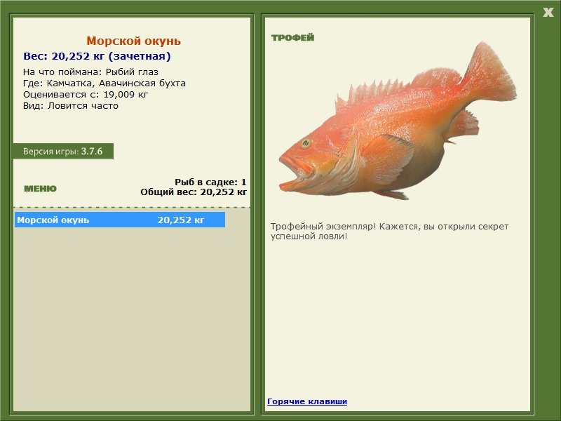 Авачинская бухта 