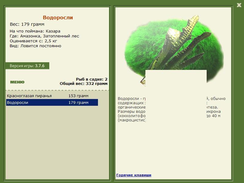 Затопленный лес 