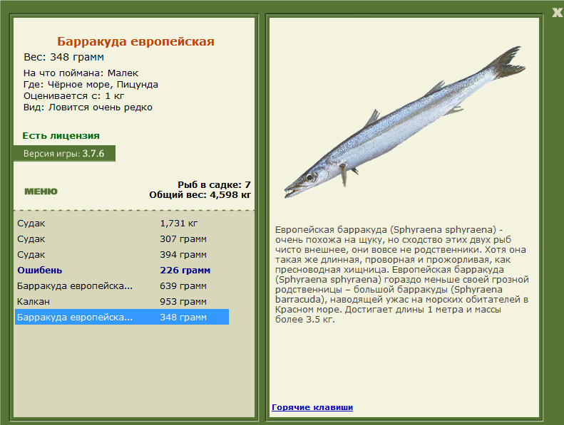 Пицунда 