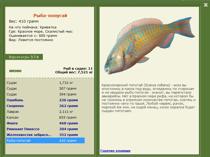 Скалистый мыс 