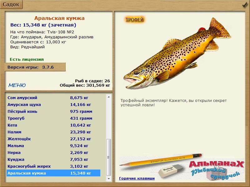 Амударьинский разлив 