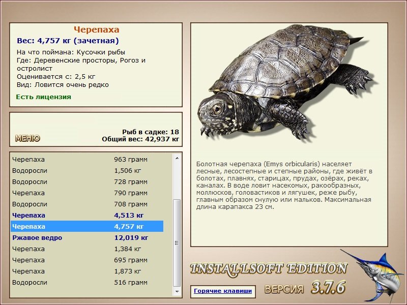Рогоз и остролист 