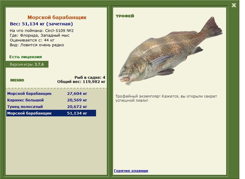 Морской барабанщик 