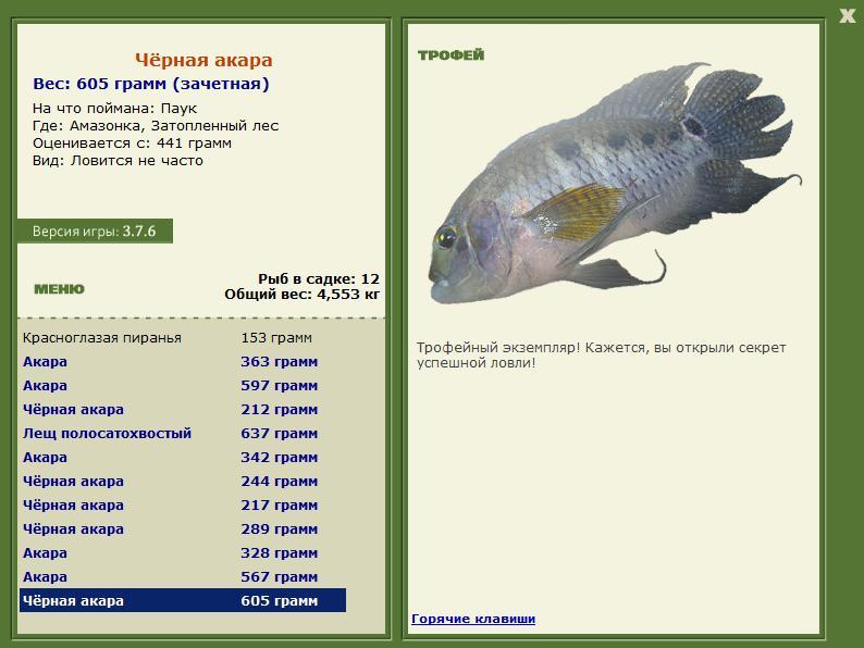 Чёрная акара 