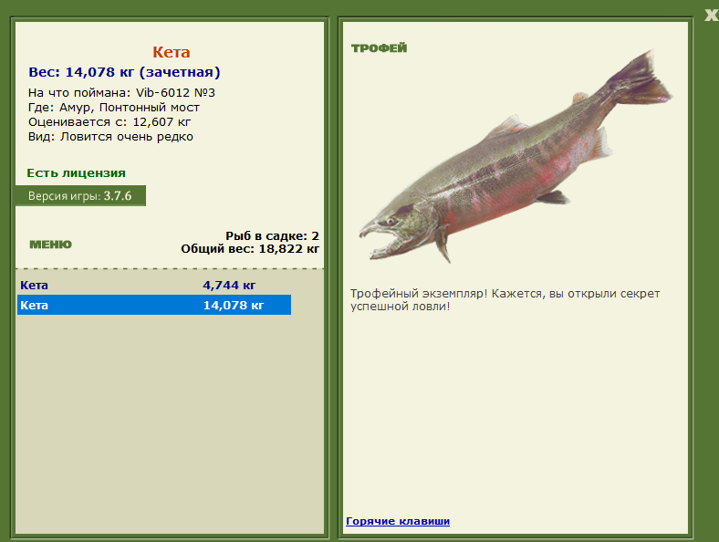 Понтонный мост 