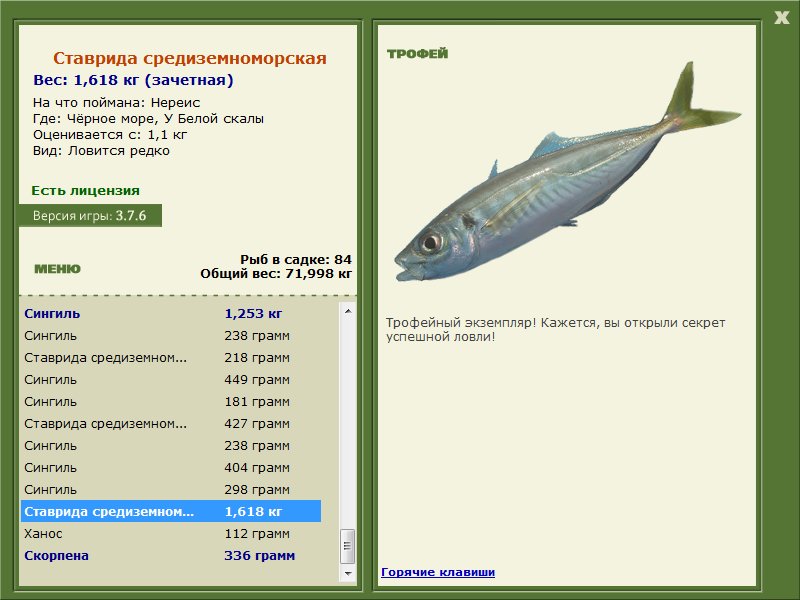 У Белой скалы 