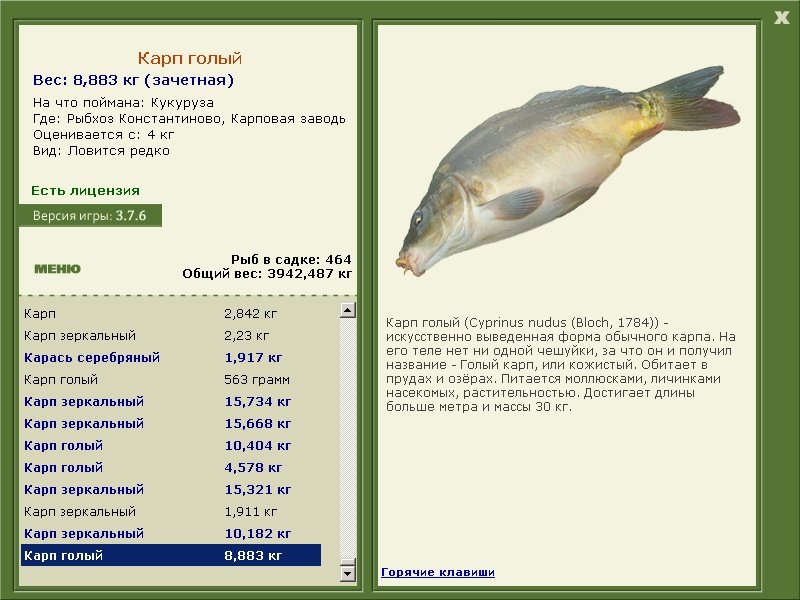 турниры • РУССКАЯ РЫБАЛКА