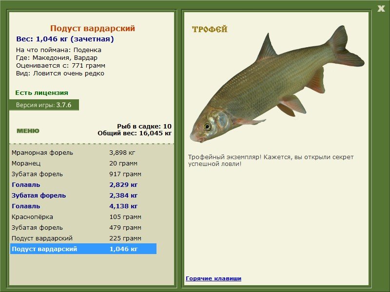 Подуст Вардарский 