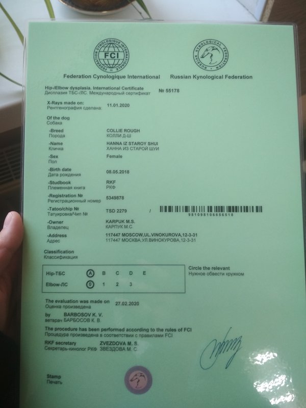 Изображение
