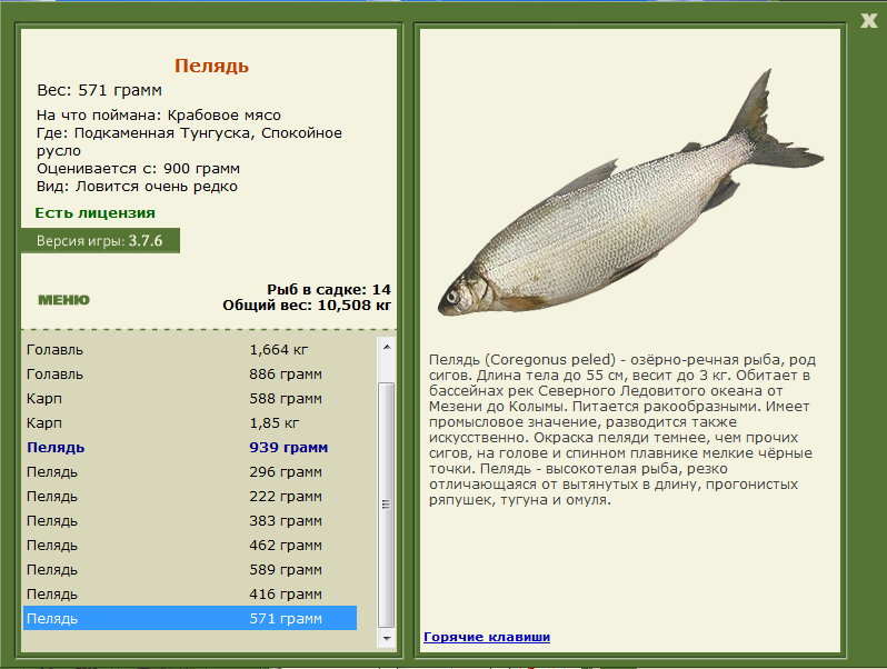 Спокойное русло 