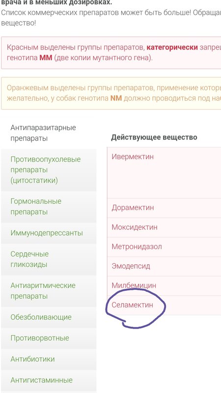 ФОРУМ ЛЮБИТЕЛЕЙ КОЛЛИ И ШЕЛТИ 
