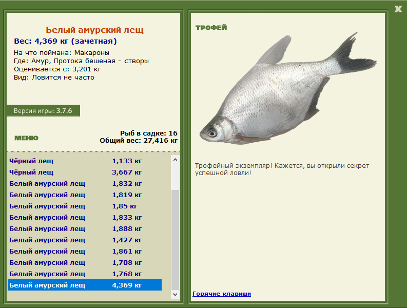 Белый амурский лещ 