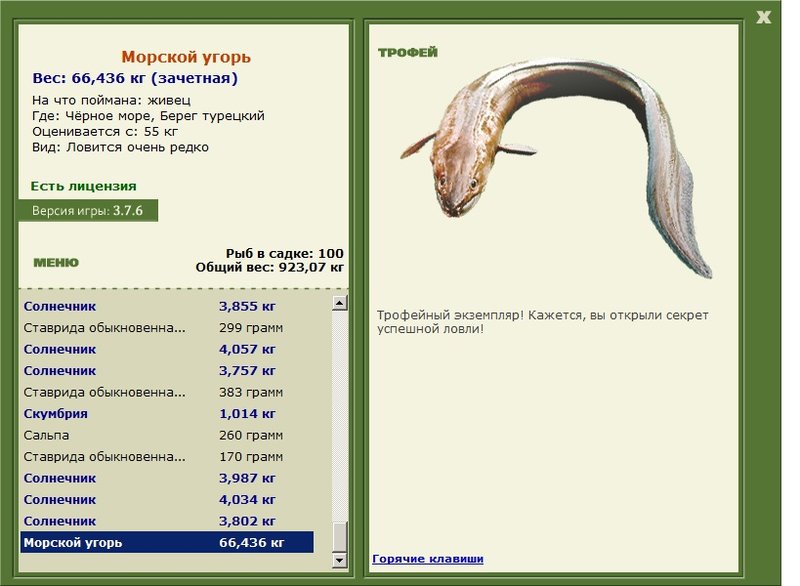 Берег турецкий 