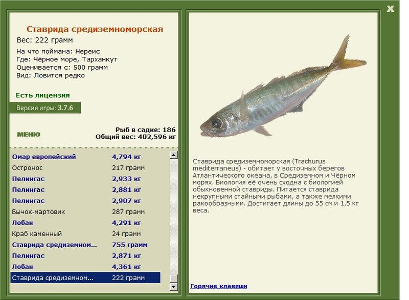 турниры • РУССКАЯ РЫБАЛКА