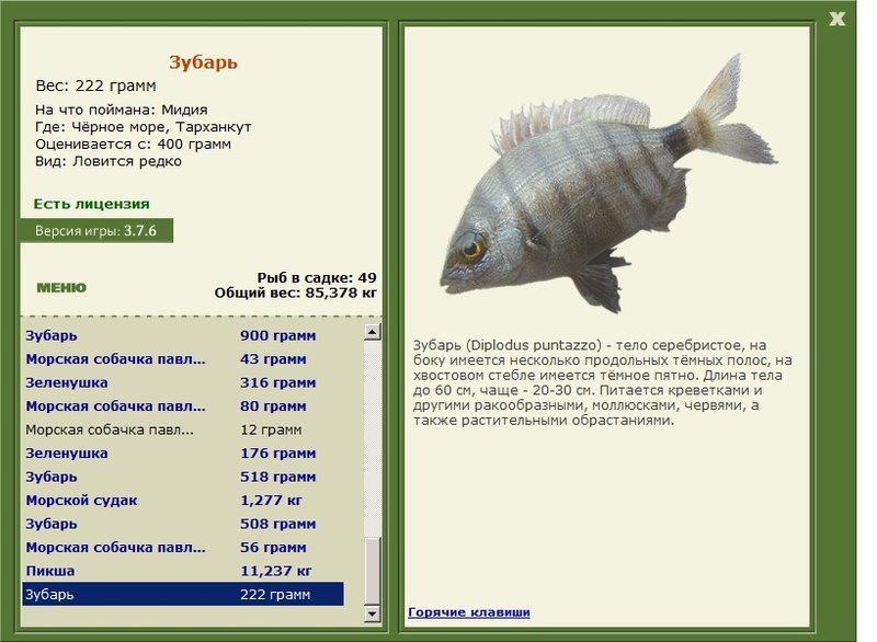 турниры • РУССКАЯ РЫБАЛКА