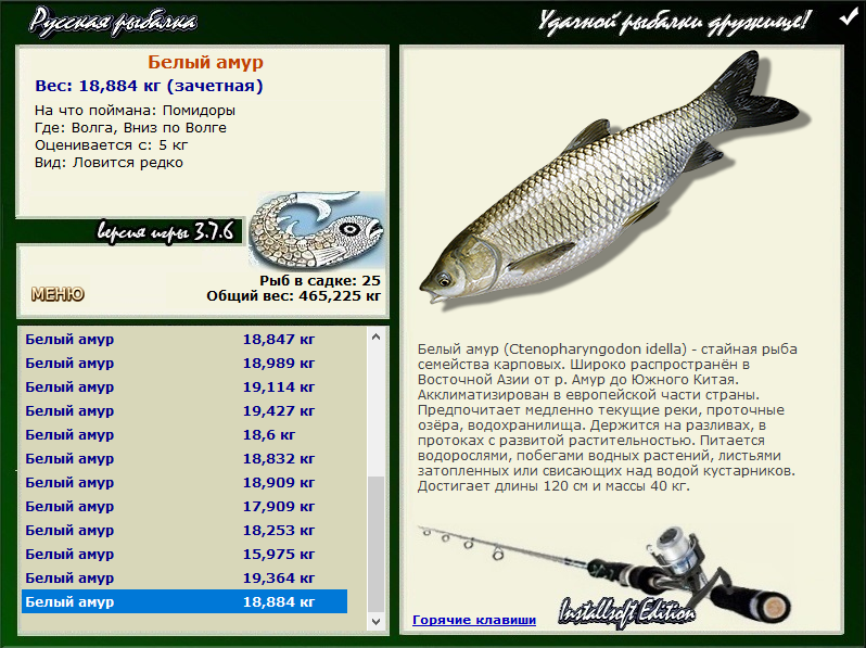 турниры • РУССКАЯ РЫБАЛКА