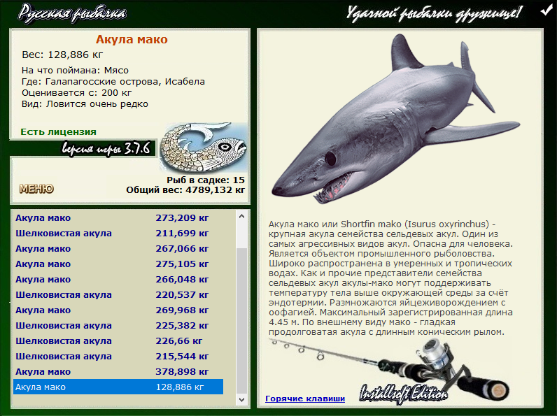 турниры • РУССКАЯ РЫБАЛКА