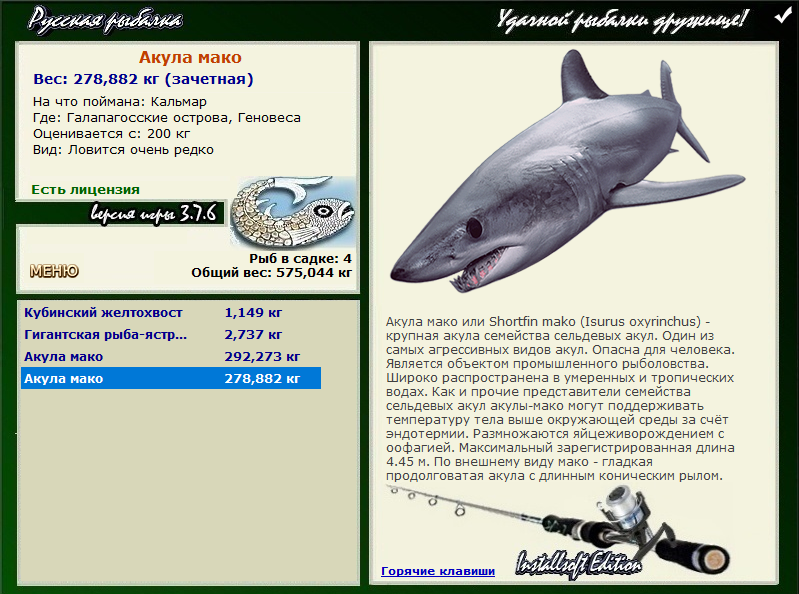 турниры • РУССКАЯ РЫБАЛКА