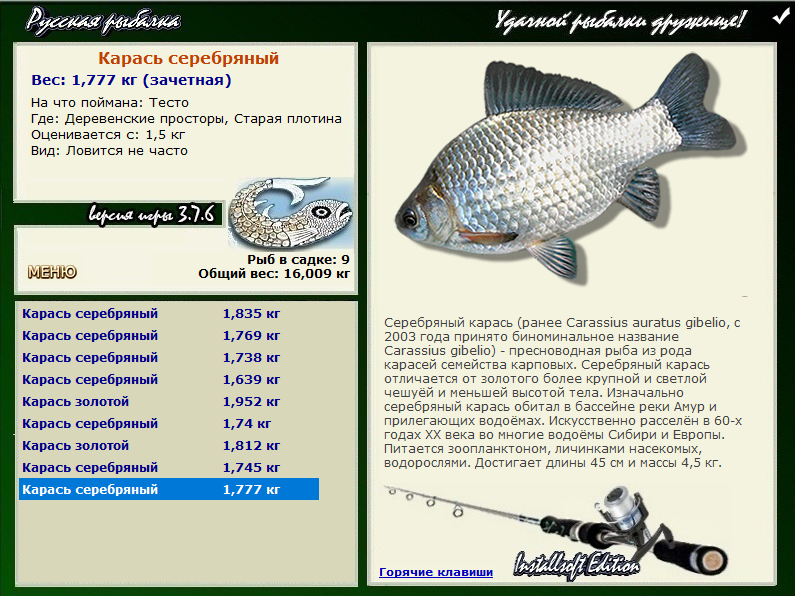 турниры • РУССКАЯ РЫБАЛКА