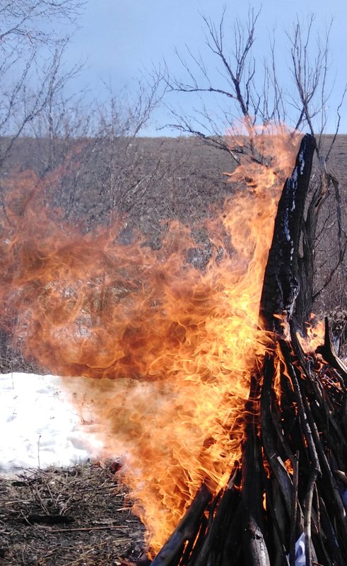 Огненный Мир-Плазма Огня- - Страница 7 - Форум 