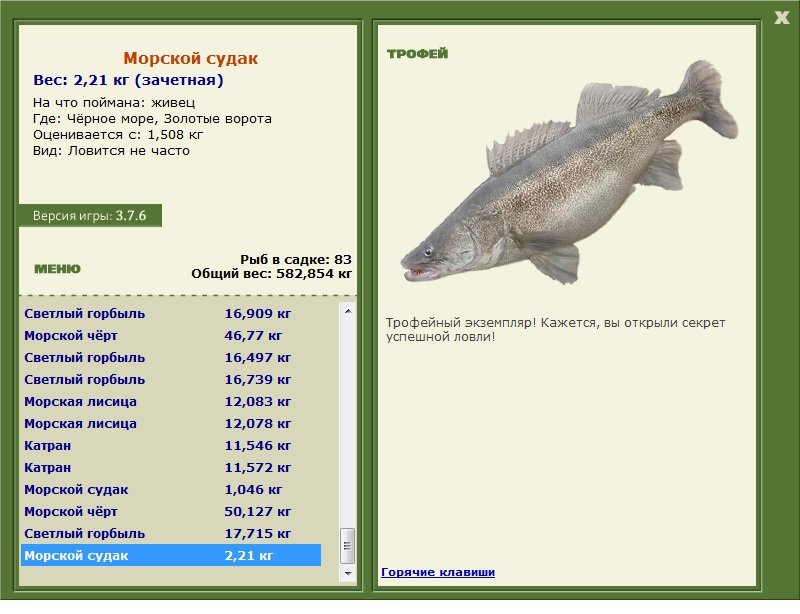 Морской судак 