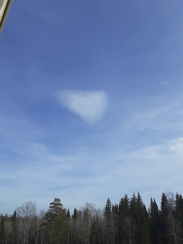  Страница 66 - Форум 