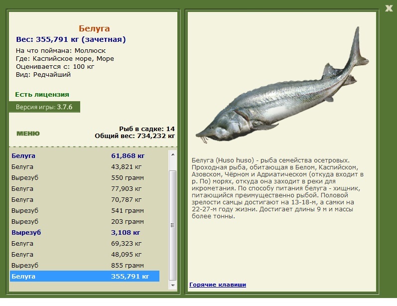 Море 