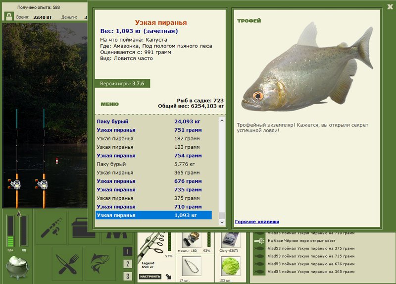 Под пологом пьяного леса 