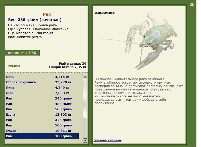 Спокойное движение 