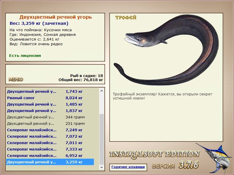 Заявки на рекорд 