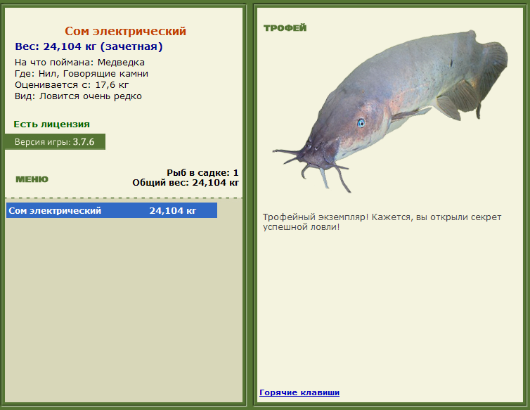 Заявки на рекорд 