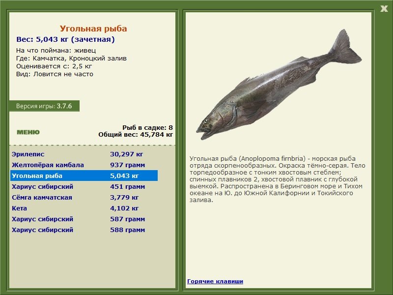 Кроноцкий залив 