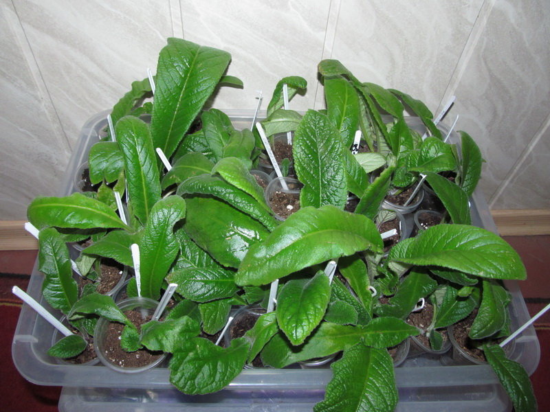  Просмотр темы - Модераторам