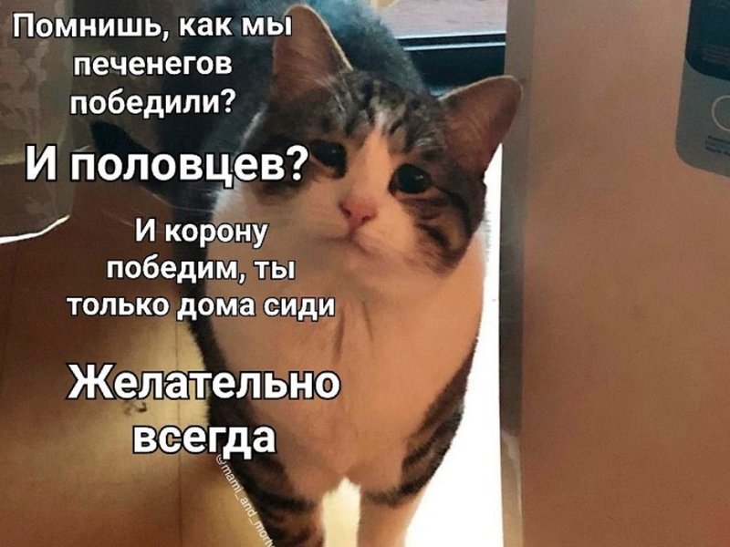 19 • Форум 