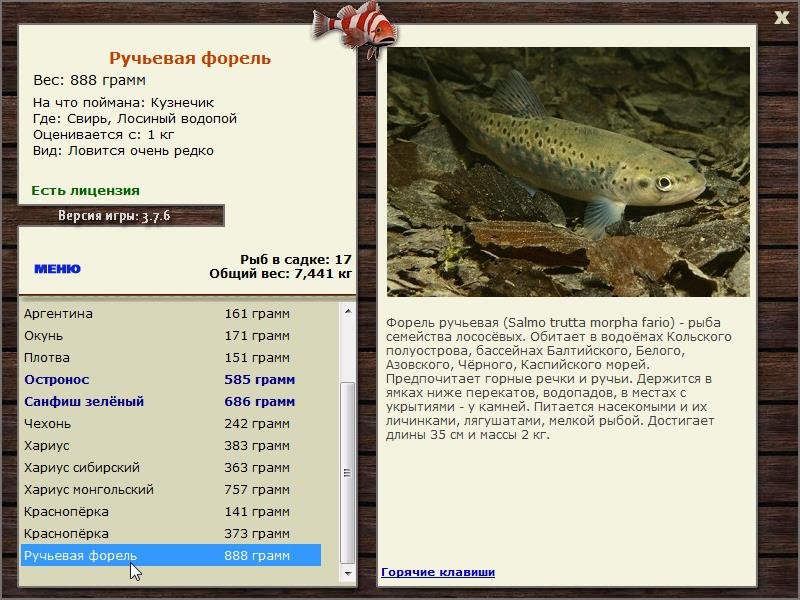 турниры • РУССКАЯ РЫБАЛКА