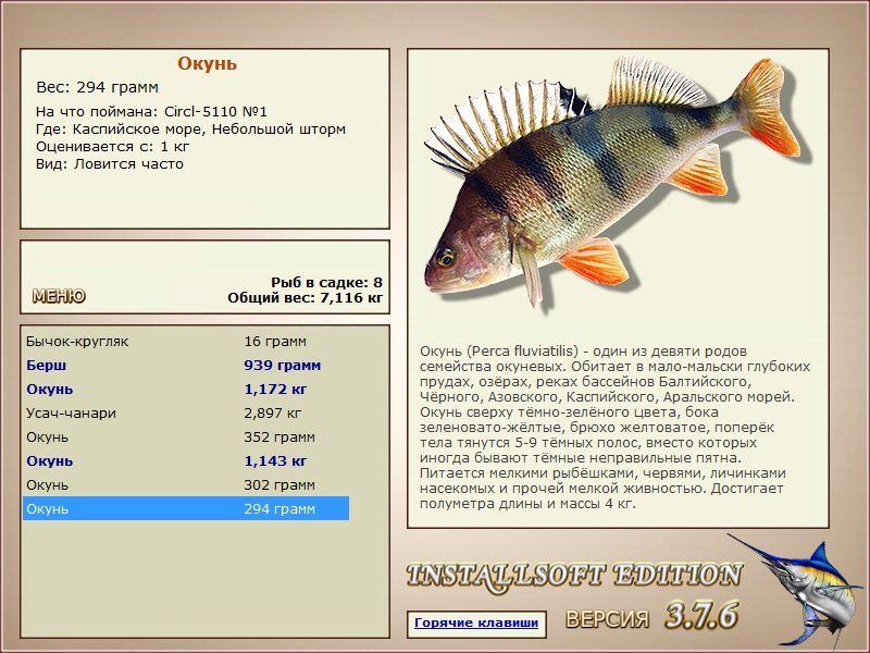 Небольшой шторм 
