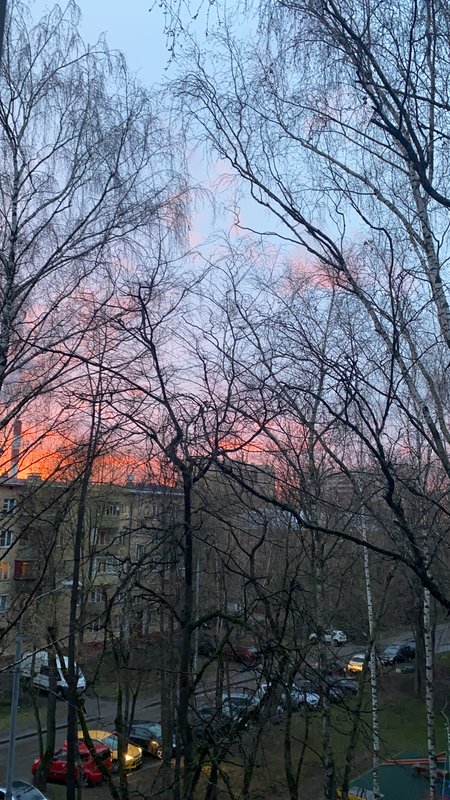  Страница 66 - Форум 