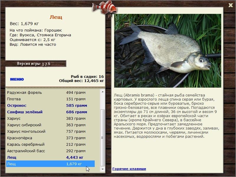 турниры • РУССКАЯ РЫБАЛКА