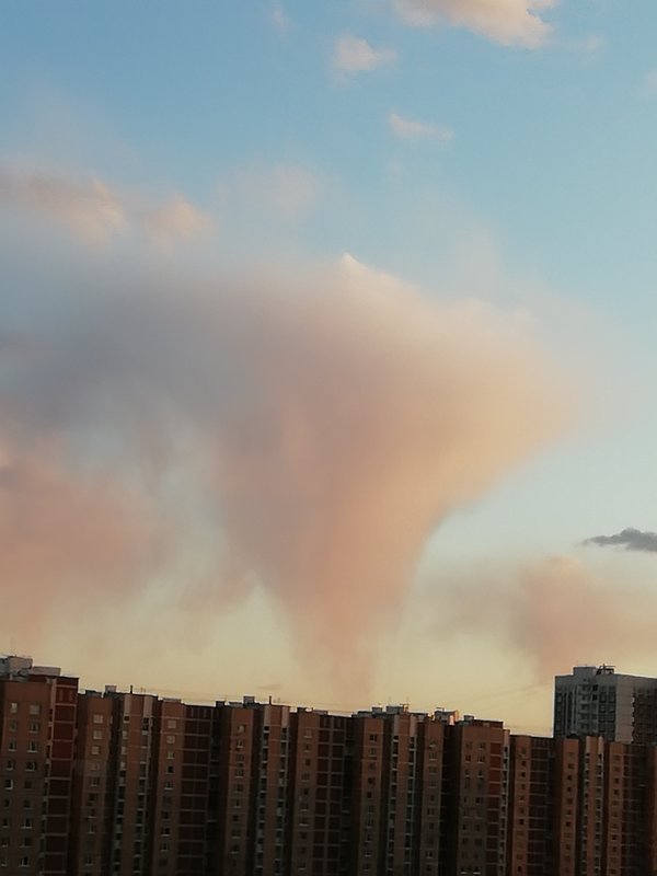  Страница 66 - Форум 