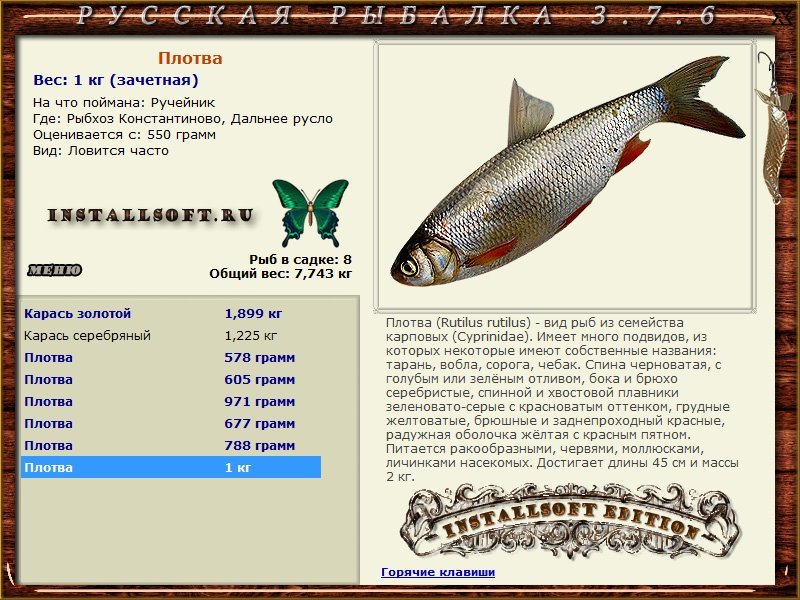 Дальнее русло 