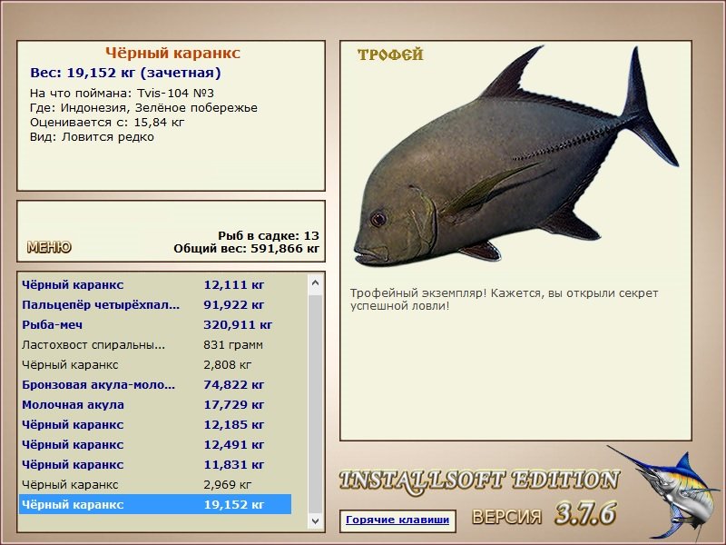 Чёрный каранкс 