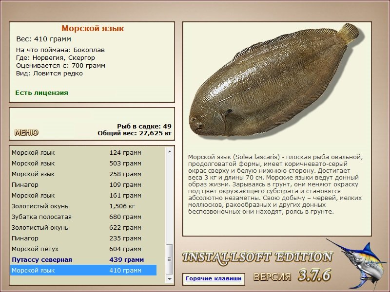 Cкергор 