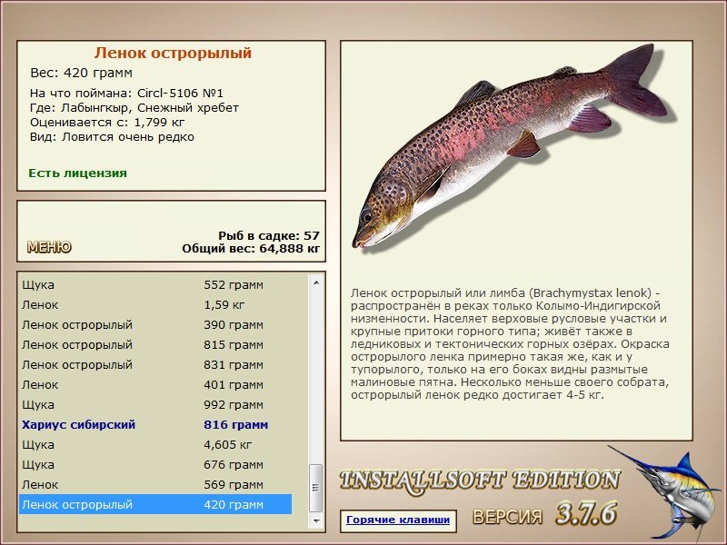 Снежный хребет 